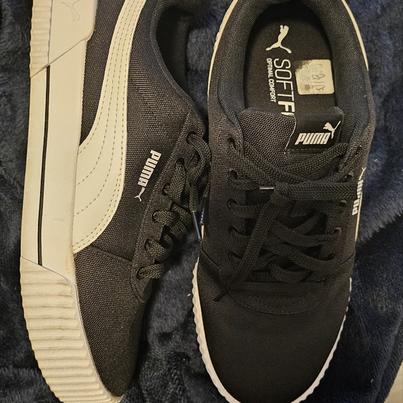 Pumas - Picture 3 of 3